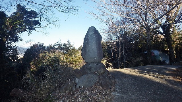 IGIG4535.jpg