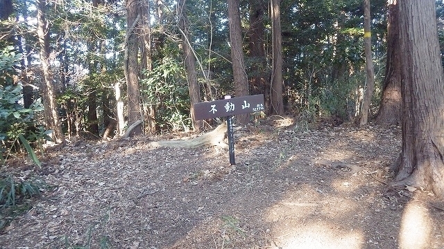 IGIG4552.jpg