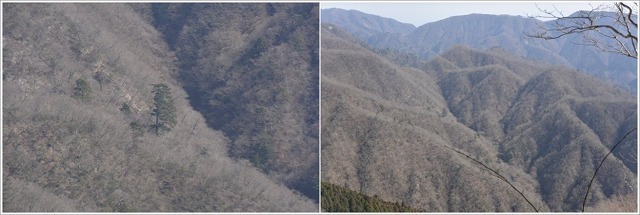 higashizawaugan.jpg